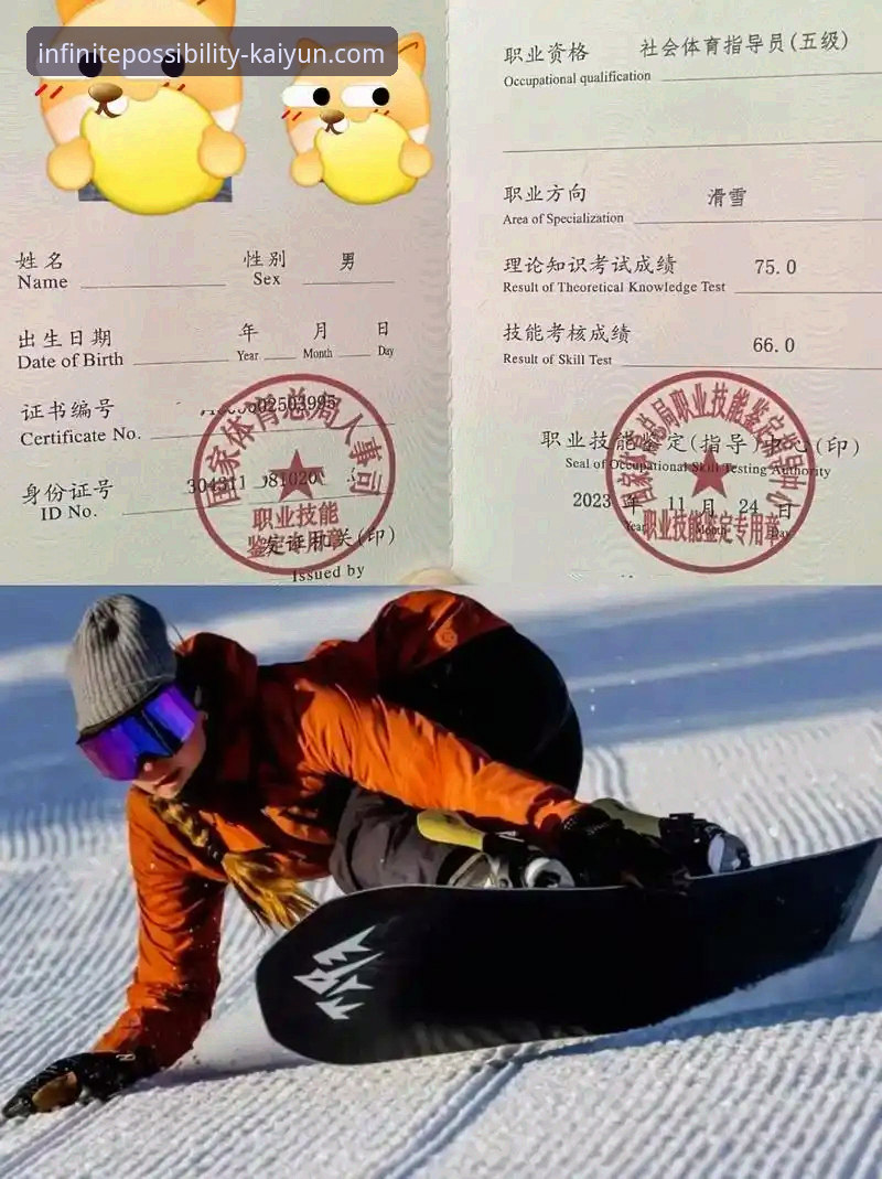 开云体育官方平台究竟如何？一份来自技术评测员的深度解析